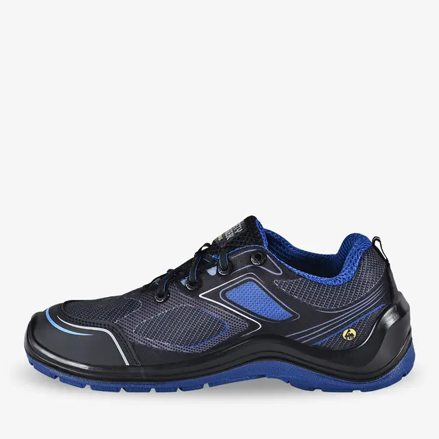 FLOWS1PL-BLU-WEB02
